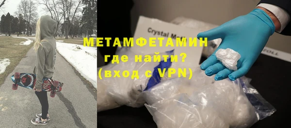прущие грибы Новозыбков