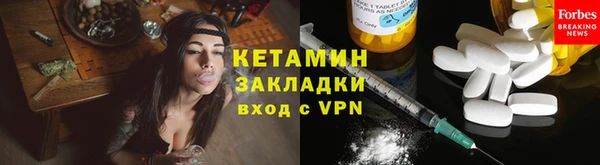 прущие грибы Новозыбков