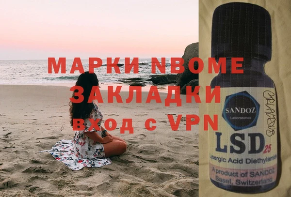 прущие грибы Новозыбков