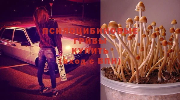 гашишное масло Новодвинск