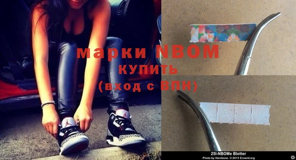 прущие грибы Новозыбков