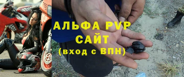 прущие грибы Новозыбков