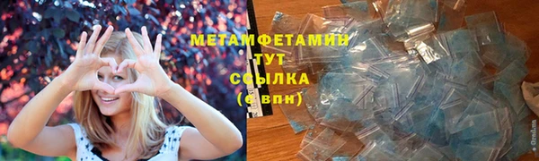 прущие грибы Новозыбков