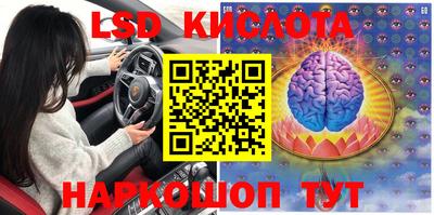 сатива Кунгур