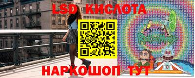 твердый Будённовск