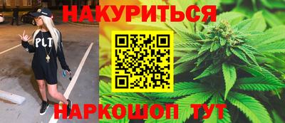 сатива Кунгур