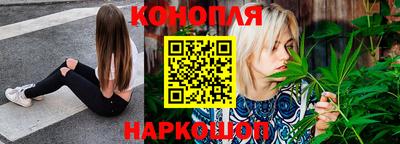 сатива Кунгур