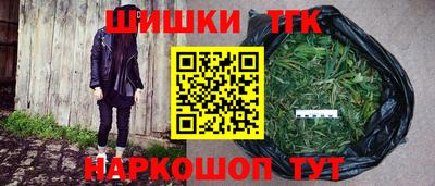 сатива Кунгур