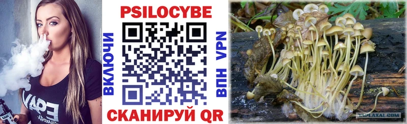 купить закладку  Сатка  Псилоцибиновые грибы Cubensis 