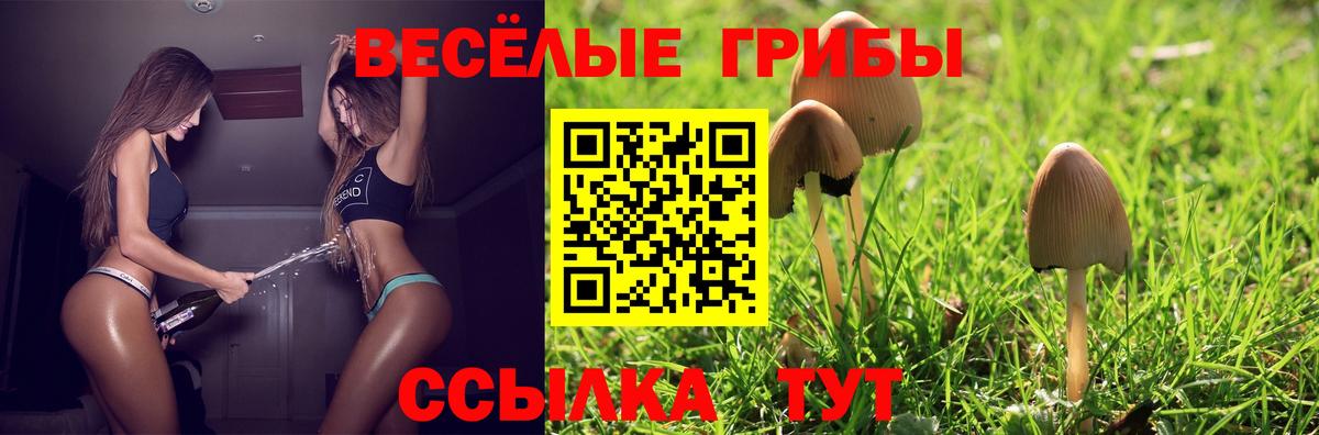 Псилоцибиновые грибы Cubensis  как найти закладки  Сатка  Вход с VPN 